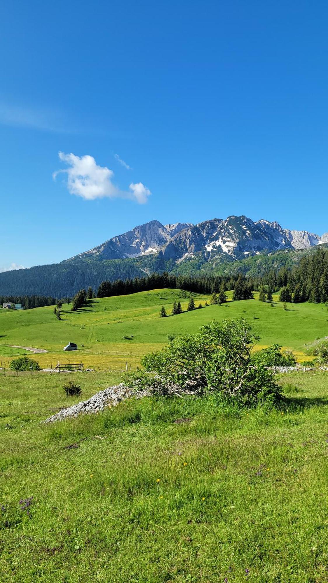 Apartman Mijatovic Žabljak Quarto foto
